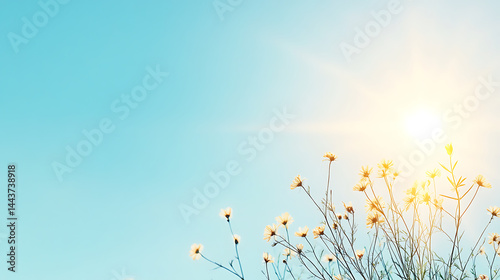 Sunny nature Summer abstract background with shining sun