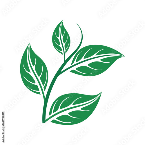 Minimalist Green Leaf Branch Illustration – Eco Nature Concept Design.