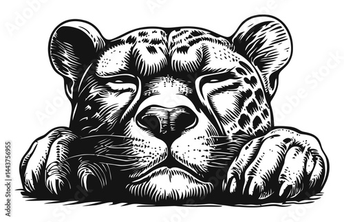 Detailed Hand-Drawn Engraving of a Relaxed Leopard Illustration