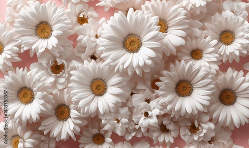 Delicate white daisies, a cheerful floral backdrop, on a pale pink surface