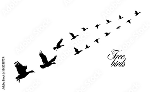 A flock of ducks flying. hand drawing. Not AI. Vector illustration