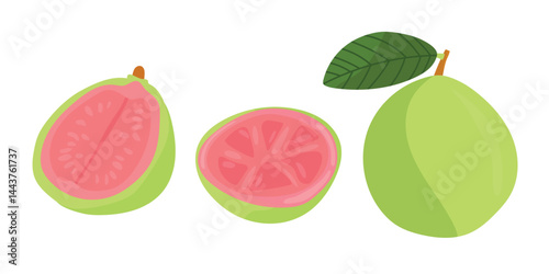 Guava. Flat vector, clipart illustration isolated on white background.