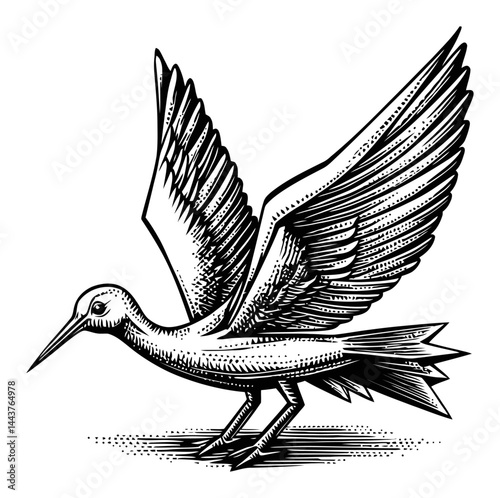 Detailed Hand-Drawn Engraving of a Bird with Spreading Wings