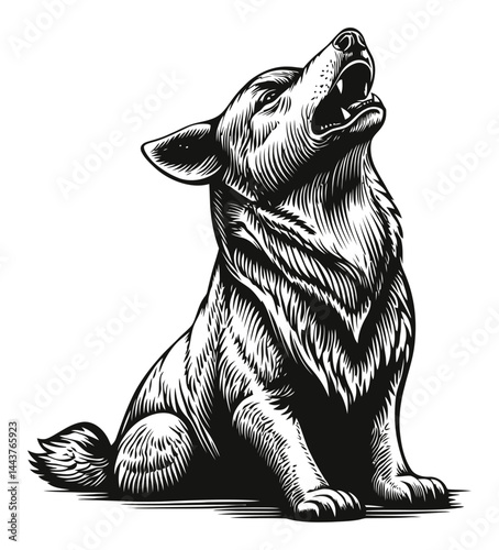 Detailed Hand-Drawn Engraving Illustration of a Howling Dog