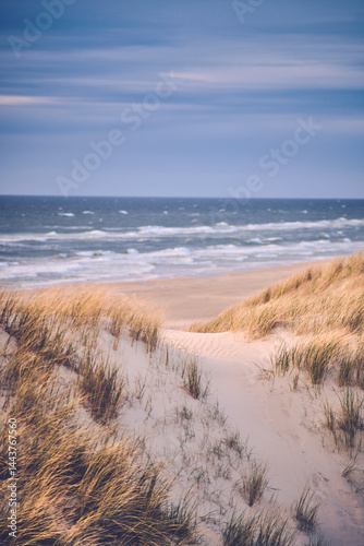 Fototapeta Naklejka Na Ścianę i Meble -  Scenic dune at danish north sea coast. High quality photo
