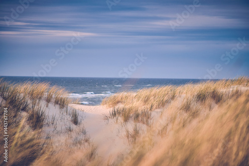 Fototapeta Naklejka Na Ścianę i Meble -  scenic view at north sea coast. High quality photo