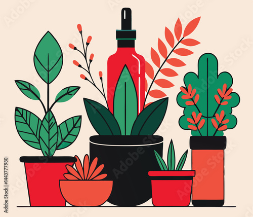 Various potted plants and a red dropper bottle stand on the shelf together