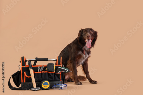 Cute dog with bag of tools ...