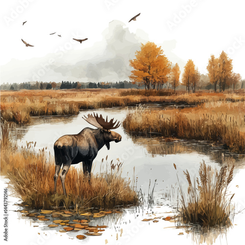 Moose Standing In A Lake, watercolor vector, isolated on a white background.