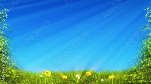 Early Summertime Background Composition Video
