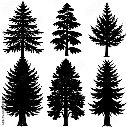 Silhouettes of pine trees. Evergreen forest firs and spruces, black shapes, wild nature trees templates