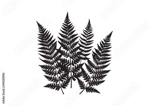A pack of fern leaf silhouette vector