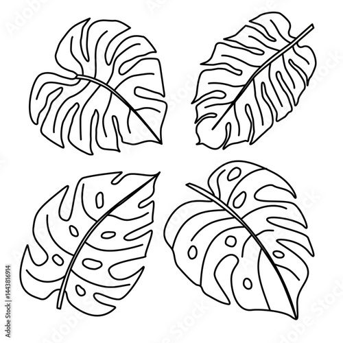 Set of four hand-drawn monstera leaves in black outline style. Simple tropical leaf collection for coloring books, botanical design, eco branding, stickers, and tropical decor.