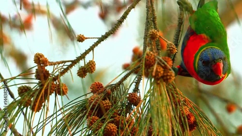 Close Up of Bird Sitting on Branch Surrounded by Nature

 photo