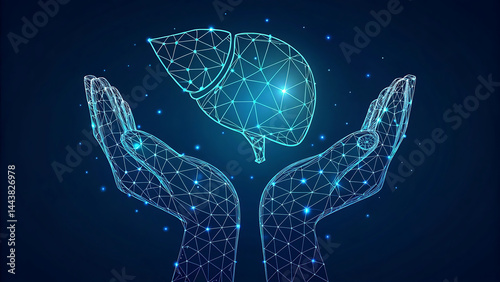 Two human hands are holds human liver. Support healthy liver concept. Wireframe glowing low poly design on dark blue background. Abstract futuristic vector illustration.    