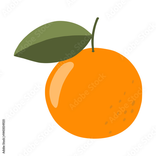 Vector Illustration of an Orange Fruit