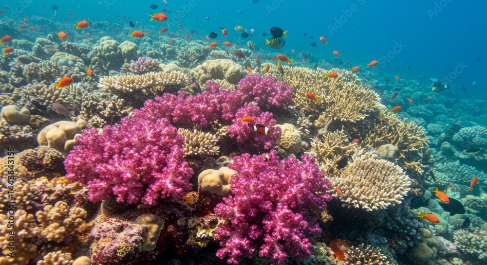 Obraz premium Vibrant underwater ocean scene with colorful clownfish swimming among bright soft coral on a tropical reef ecosystem, used for marine life and nature conservation concepts.