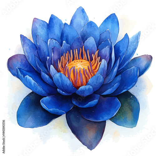 watercolor of Lotus Flower Rising From Mist, vector, isolated on a white background.