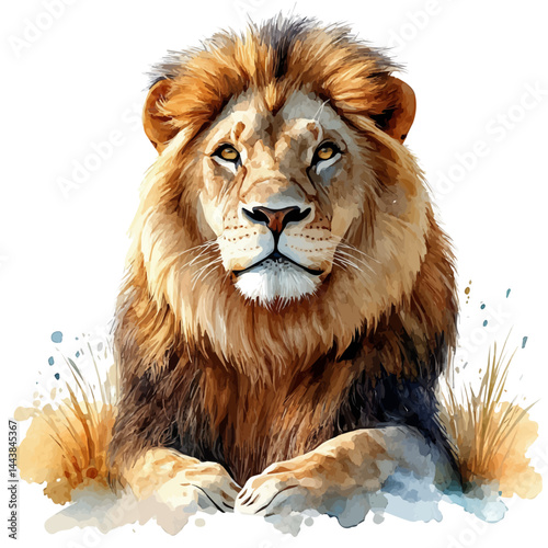 Lion Resting In The Savannah, vector watercolor illustration, isolated on a white background.