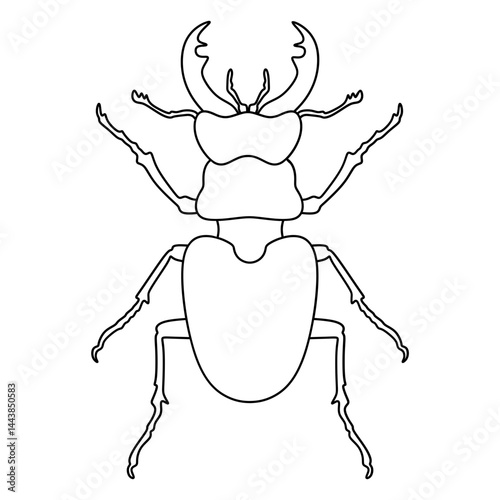 beetle