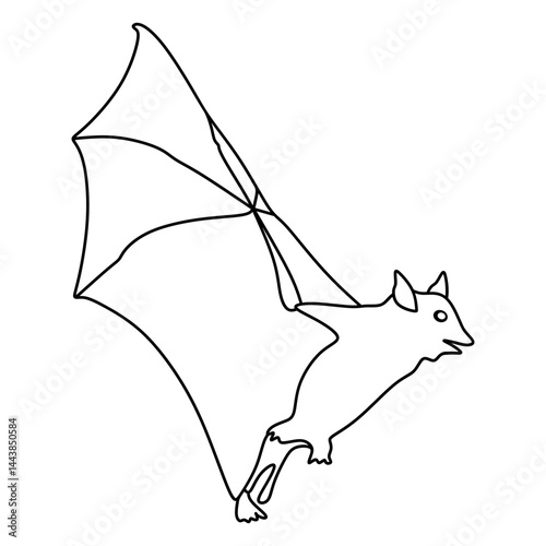 vampire bat