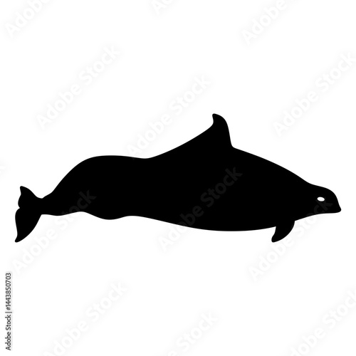 porpoise