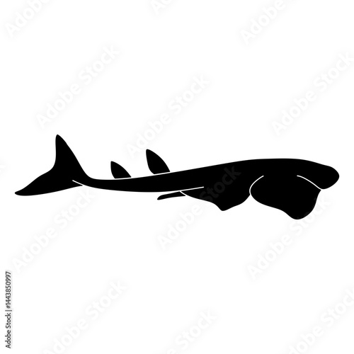 angelshark