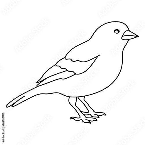 canary
