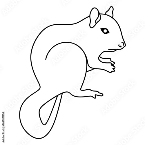 chipmunk