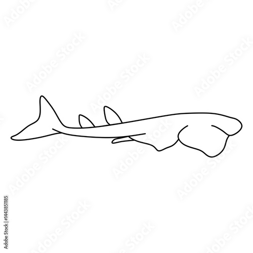 angelshark