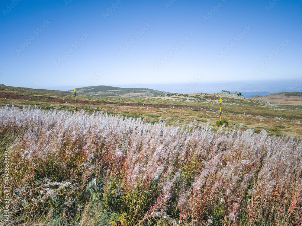 Panorama of Vitosha Mountain near Cherni Vrah peak, Bulgaria