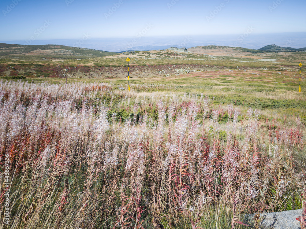 Panorama of Vitosha Mountain near Cherni Vrah peak, Bulgaria