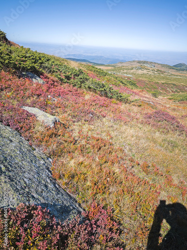 Obraz na płótnie Panorama of Vitosha Mountain near Cherni Vrah peak, Bulgaria w salonie