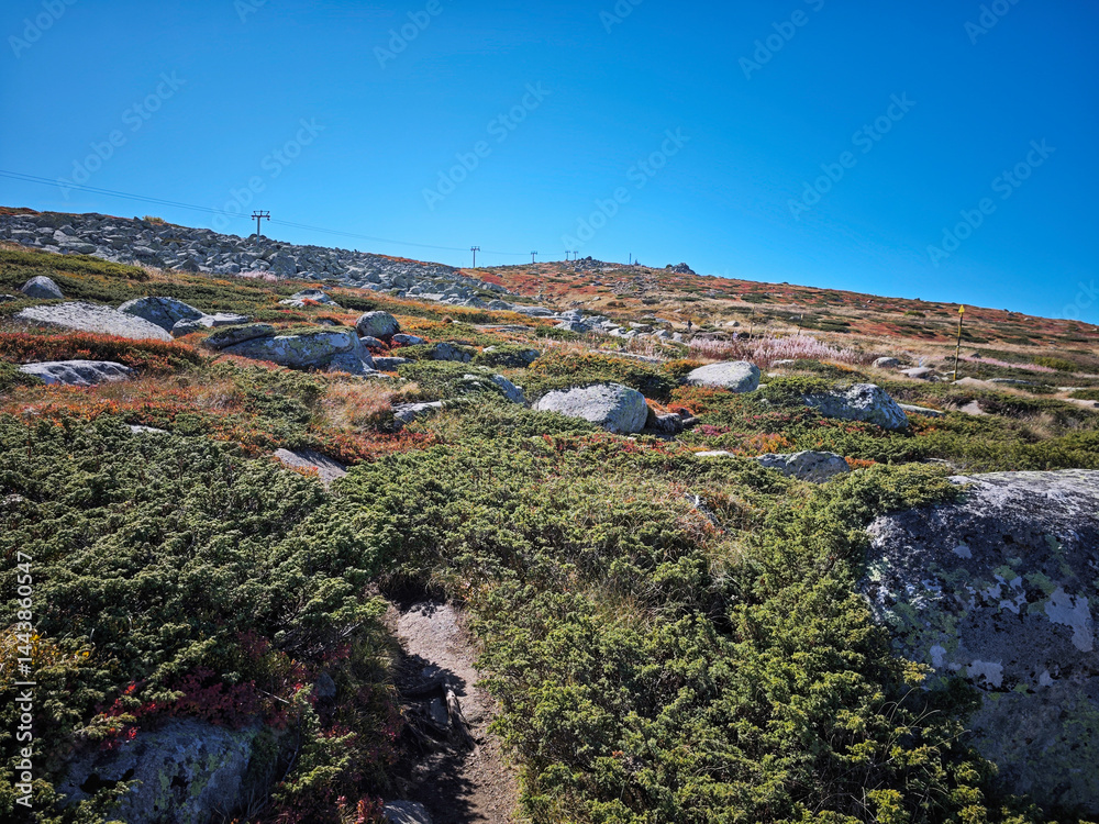 Panorama of Vitosha Mountain near Cherni Vrah peak, Bulgaria