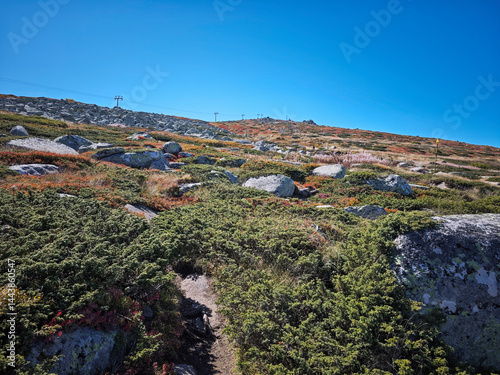 Obraz na płótnie Panorama of Vitosha Mountain near Cherni Vrah peak, Bulgaria w salonie