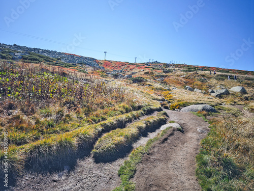 Obraz na płótnie Panorama of Vitosha Mountain near Cherni Vrah peak, Bulgaria w salonie