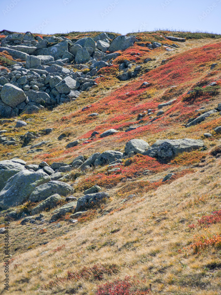 Panorama of Vitosha Mountain near Cherni Vrah peak, Bulgaria