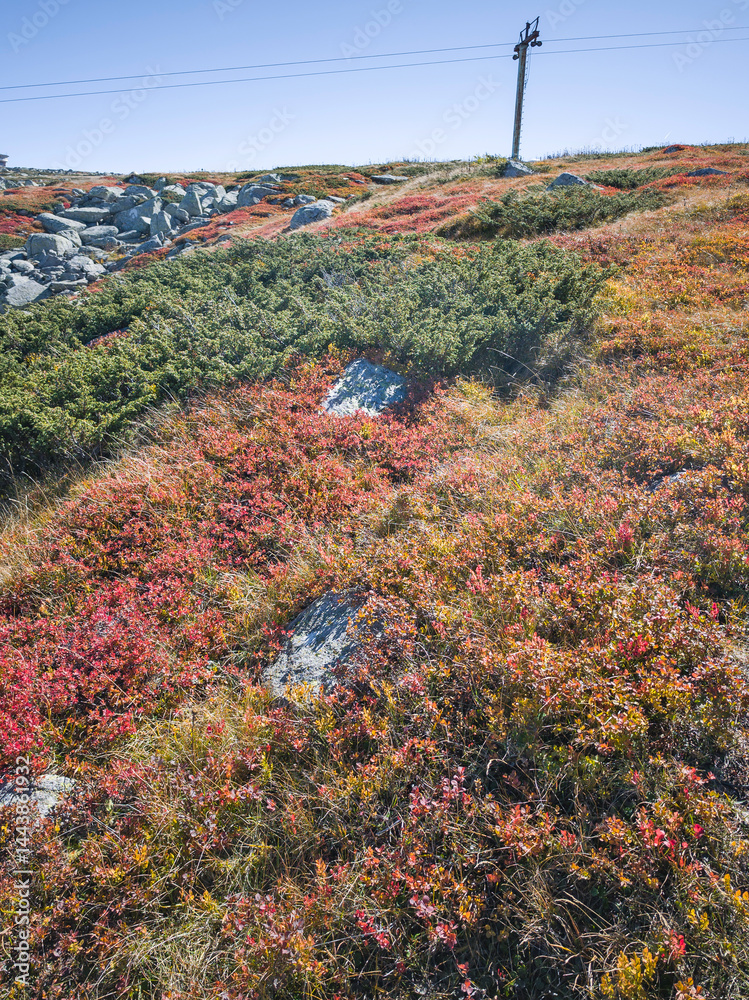 Panorama of Vitosha Mountain near Cherni Vrah peak, Bulgaria