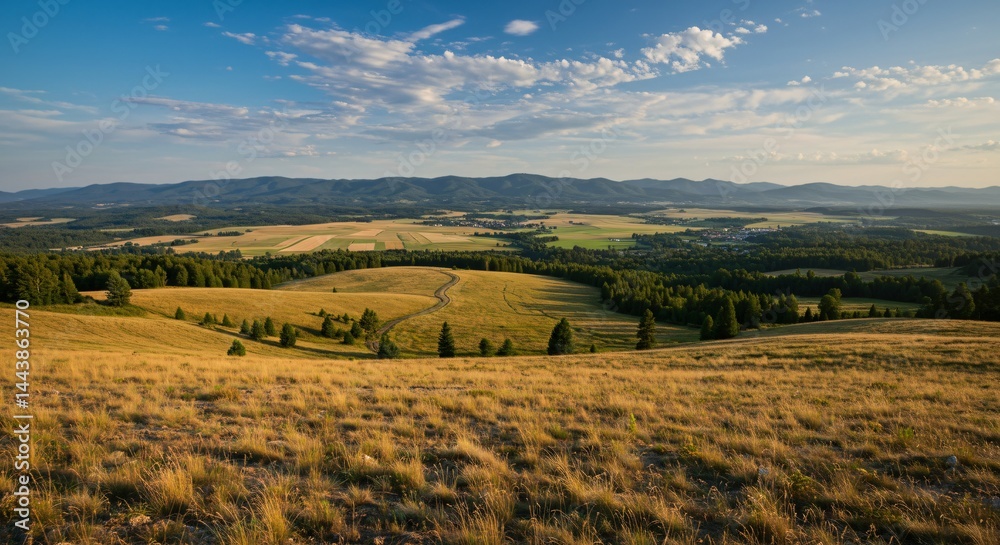 Fototapeta premium a grassy field with mountains in the background