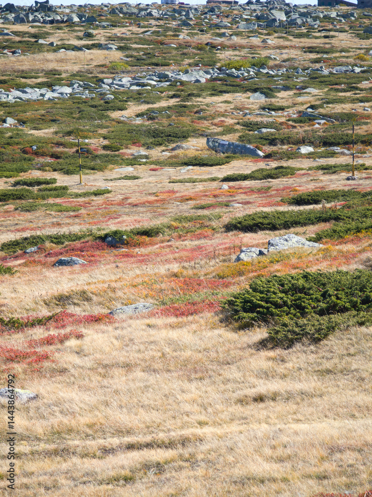 Panorama of Vitosha Mountain near Cherni Vrah peak, Bulgaria