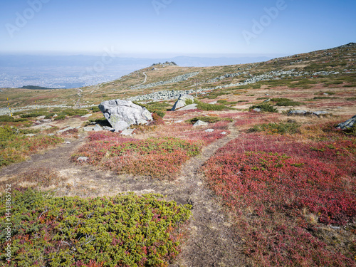 Obraz na płótnie Panorama of Vitosha Mountain near Cherni Vrah peak, Bulgaria w salonie