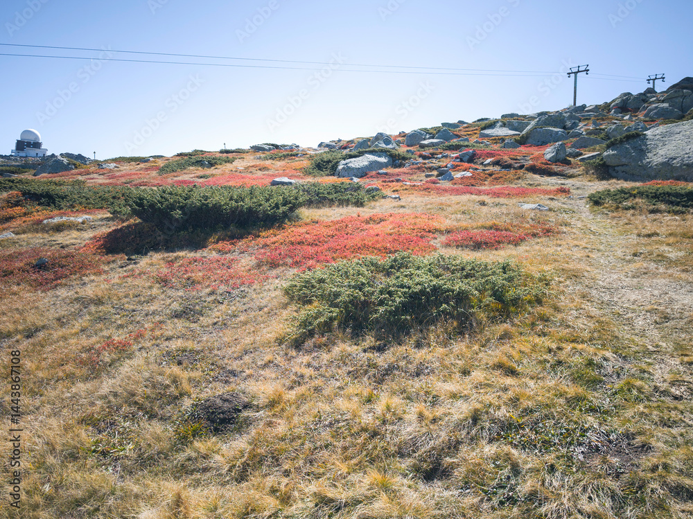 Panorama of Vitosha Mountain near Cherni Vrah peak, Bulgaria