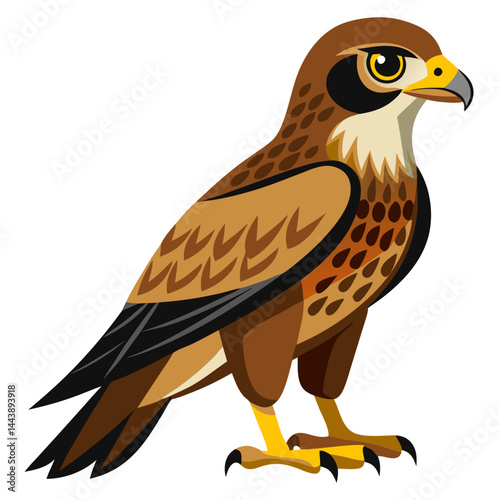 eagle on a white