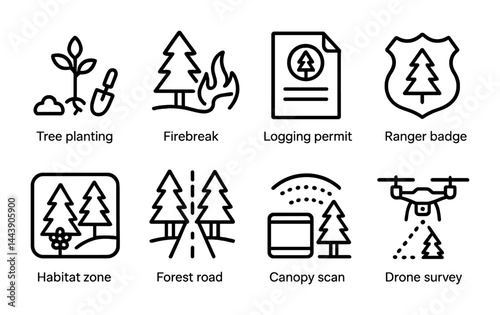 Forest conservation and protection icons – outline style environmental sustainability, wildlife management, and nature preservation symbols: tree planting, firebreak, logging permit, ranger badge,