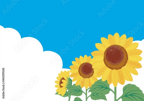 夏　ひまわり　空　風景　向日葵　ヒマワリ　フレーム　テンプレート　デザイン　背景　壁紙　イラスト素材