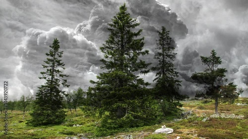 Storm Clouds And Trees Video