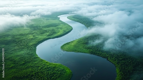 Obraz na płótnie Serene Aerial View of Winding River Surrounded by Lush Green Forest w salonie
