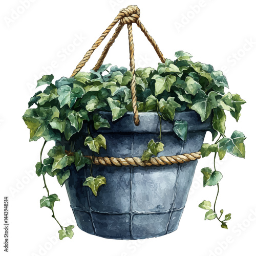 Hanging Macrame Plant Holder With Ivy, watercolor vector, isolated on a white background.