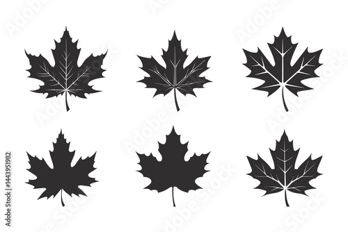 A simple Maple leaf icon, leaf set ,silhouette vector illustration.	