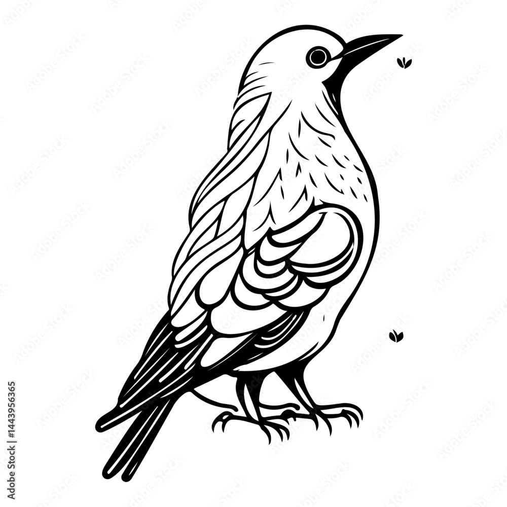 Obraz premium Elegant monochrome avian illustration with delicate detailing and distinct lines